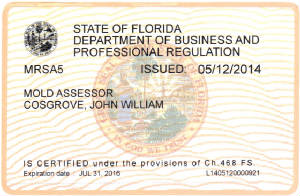 Mold License John Cosgrove.jpg