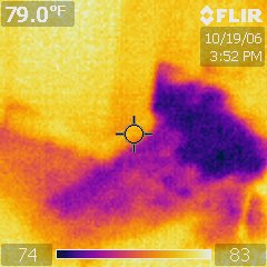 infrared image of wet area.jpg