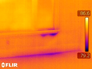 infrared photo of wet window.jpg
